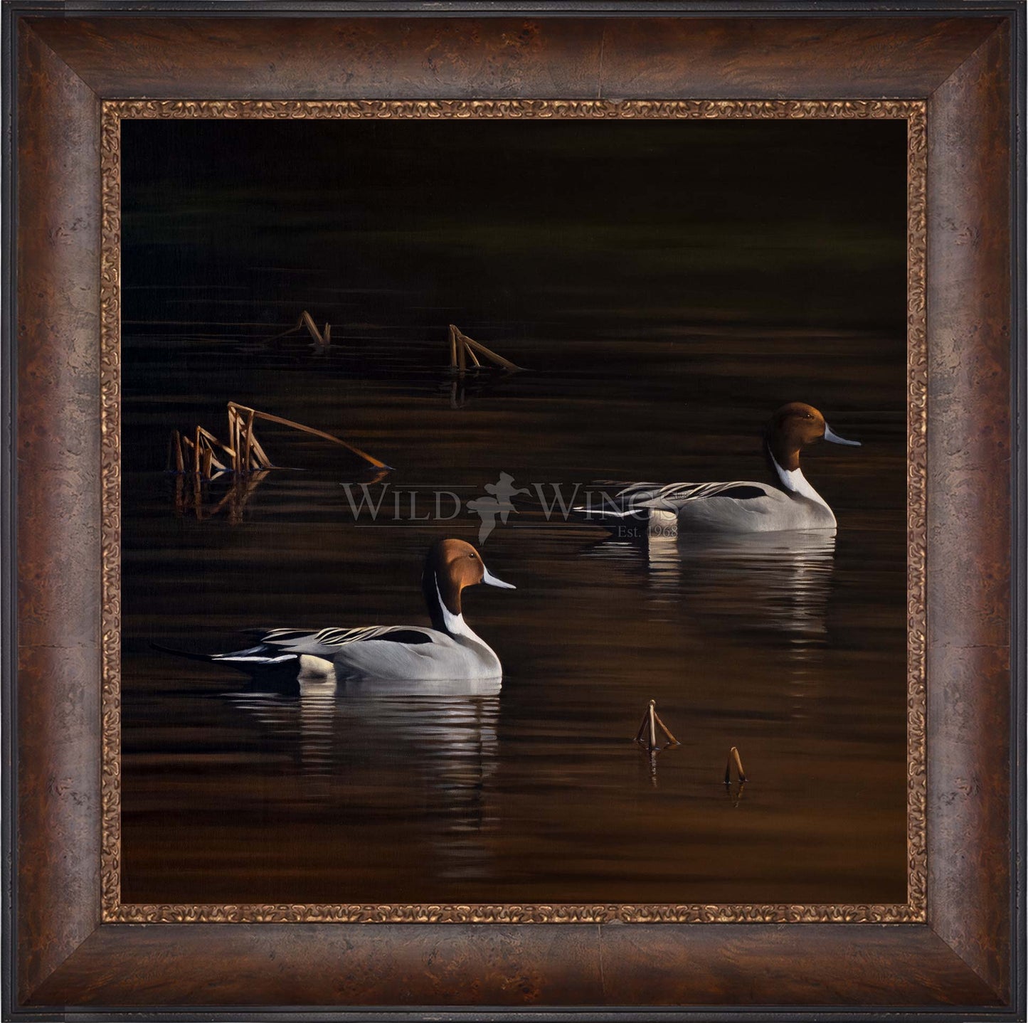 Chasing the Setting Sun - Limited Edition Canvas