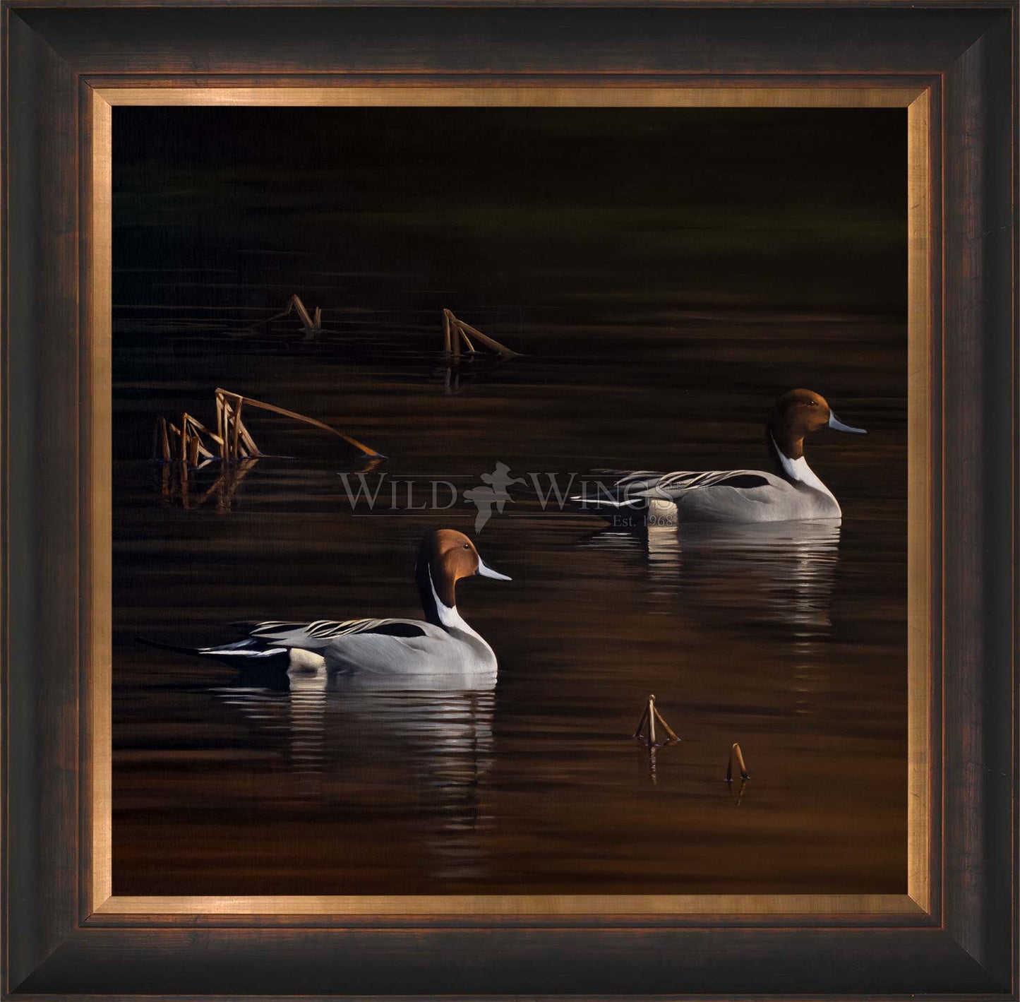 Chasing the Setting Sun - Limited Edition Canvas