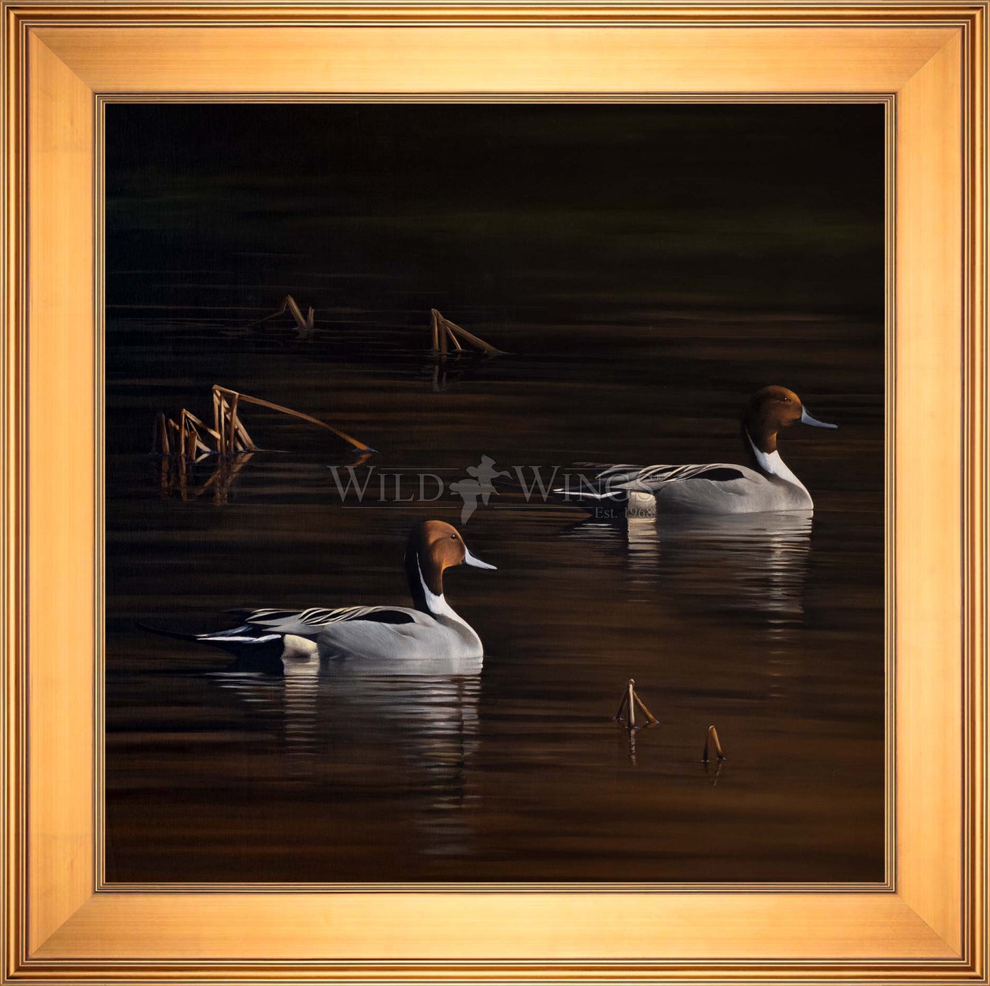 Chasing the Setting Sun - Limited Edition Canvas