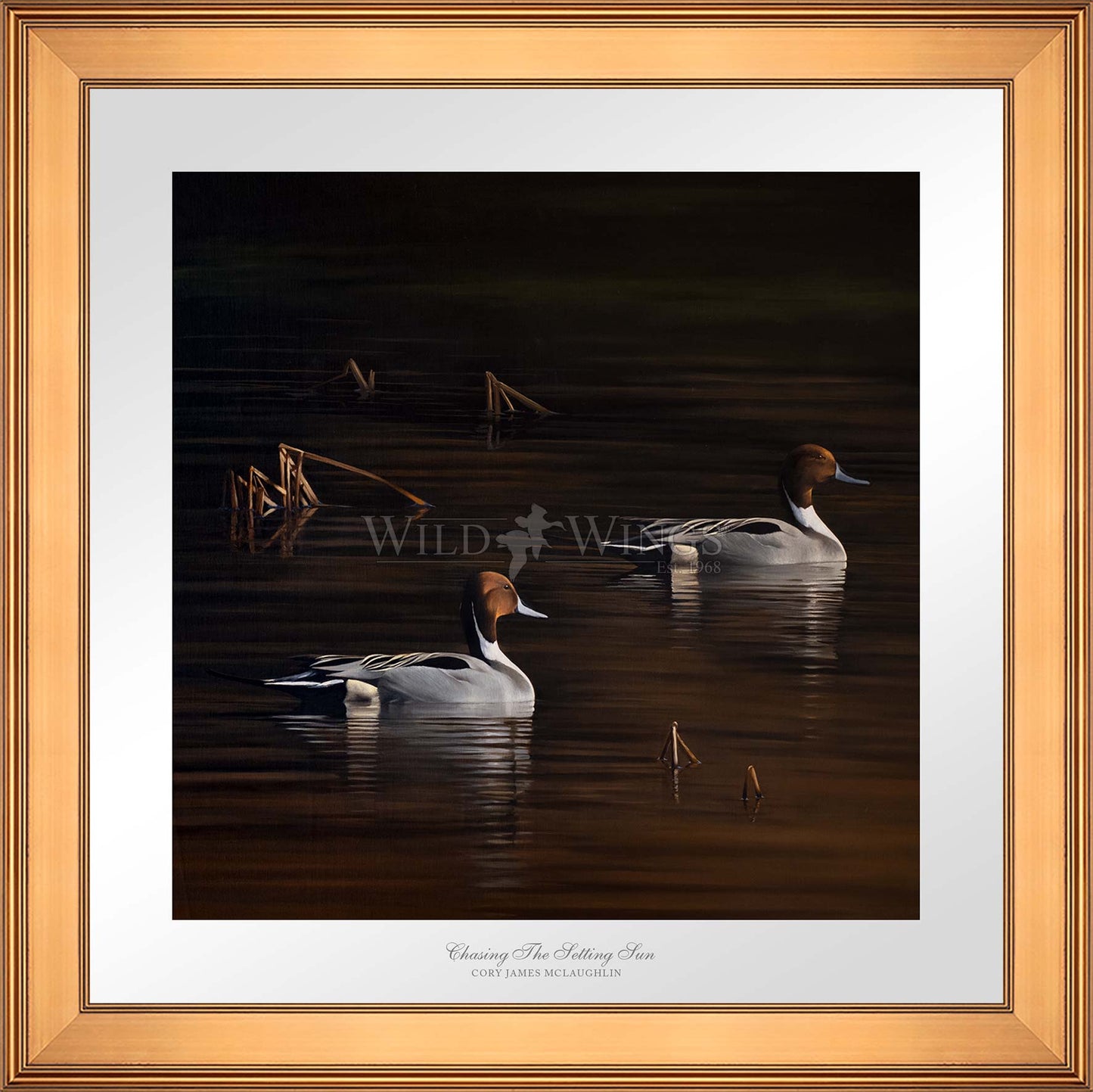Chasing the Setting Sun - Limited Edition Paper
