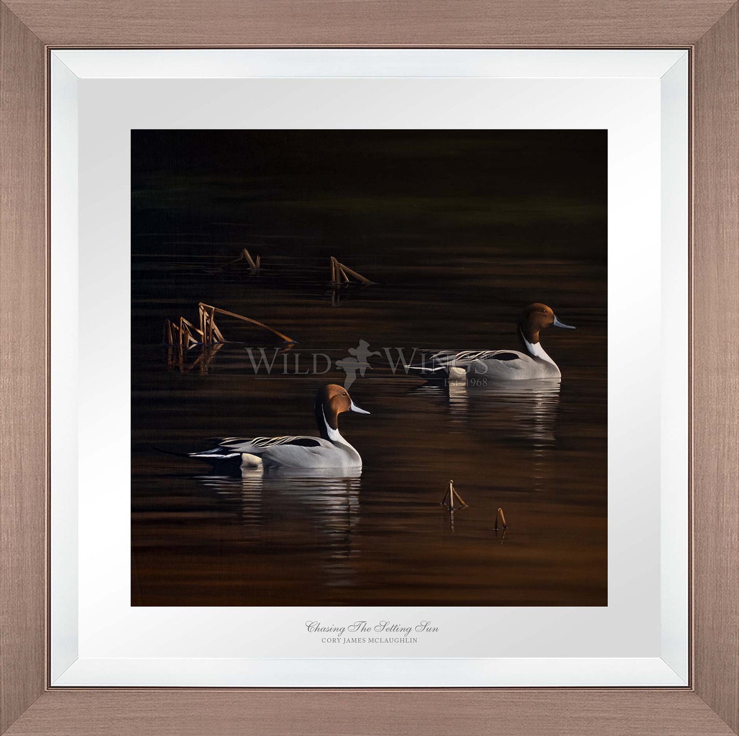 Chasing the Setting Sun - Limited Edition Paper