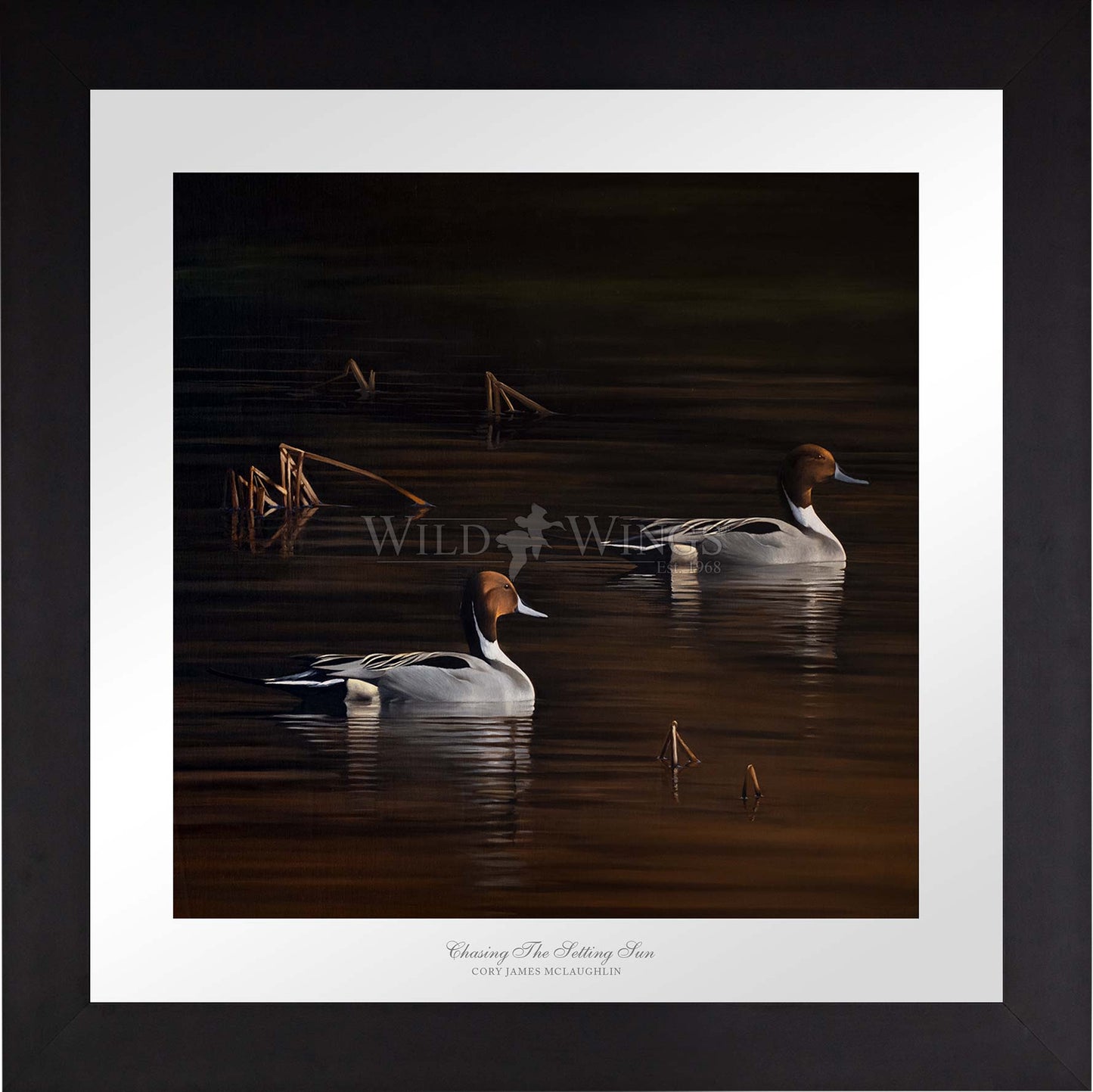 Chasing the Setting Sun - Limited Edition Paper