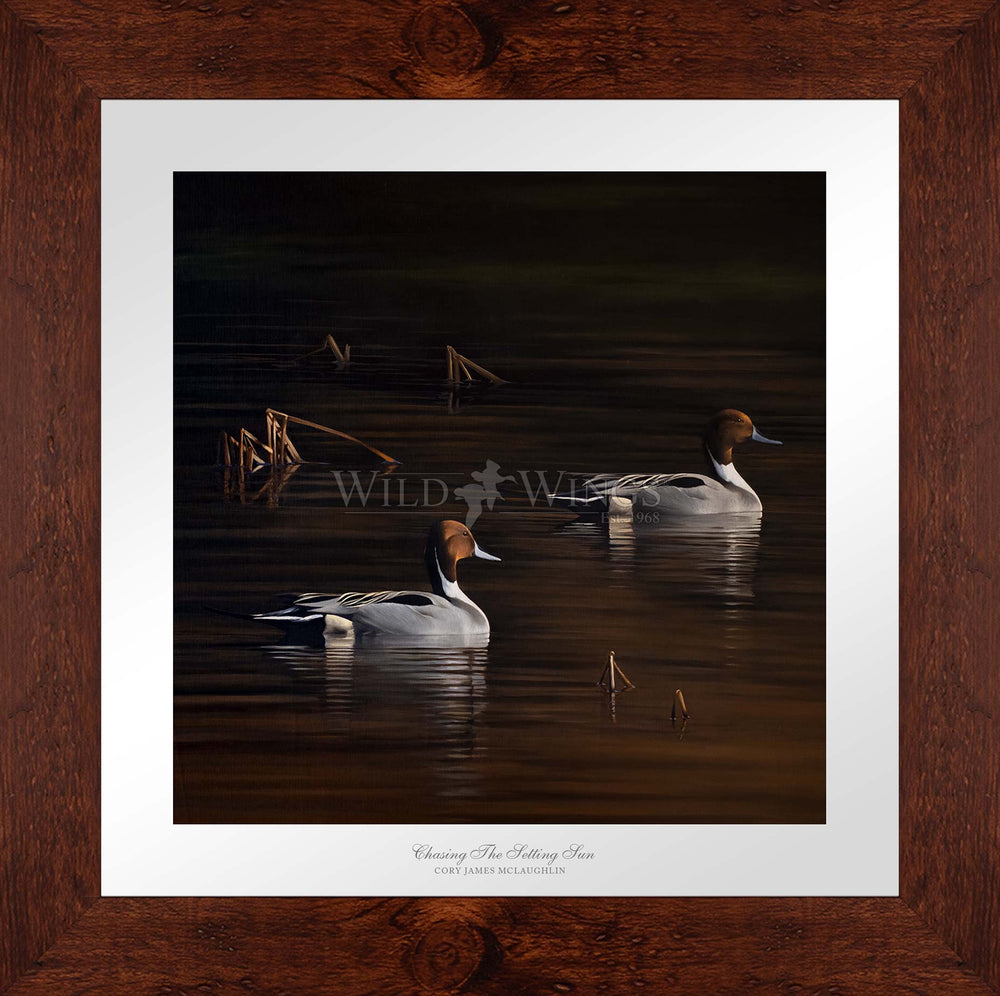 Chasing the Setting Sun - Limited Edition Paper