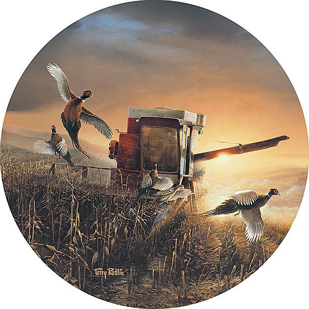 Evening Surprise—Farm - Coasters