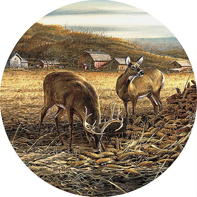 Sharing the Bounty—Deer - Coasters