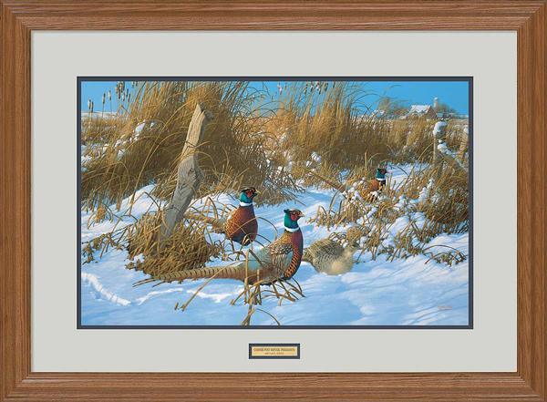 Corner Post Refuge—Pheasants - Limited Edition Paper