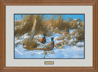 Corner Post Refuge—Pheasants - Limited Edition Paper