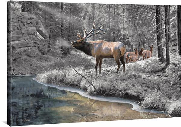 Crossing Bear Canyon Elk - 24" x 36" Gallery Wrapped Canvas