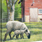 Daily Chores - Sheep - 14" x 14" Gallery Wrapped Canvas