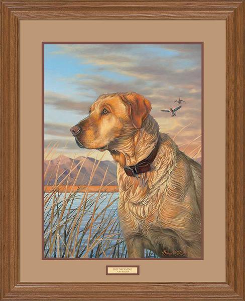 day-dreaming-yellow-lab-gna-premium-framed-print-tom-wosika-EPR9401056_dfca5ce6-7b55-4567-93e3-5b38aab7a3f8.jpg