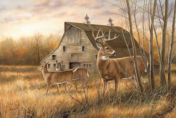 deserted-farmstead-whitetail-deer-millette-1593119065_e5592491-669b-4a51-9496-3623ebcefcc6.jpg