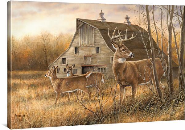 Deserted Farmstead - Whitetail Deer - 24" x 36" Gallery Wrapped Canvas