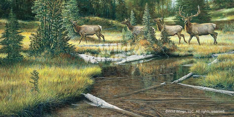 Clearcreek Promenade-Elk - Limited Edition Paper