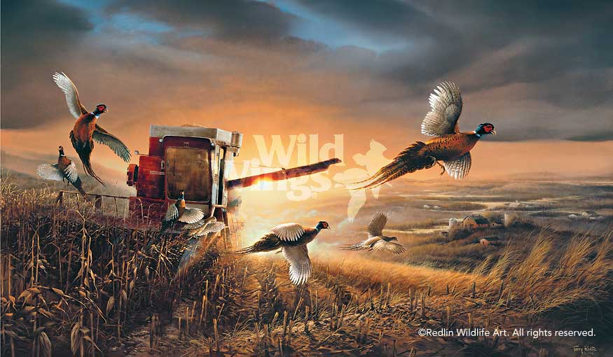 Evening Surprise II - Encore Canvas Encore Canvas from Wild Wings