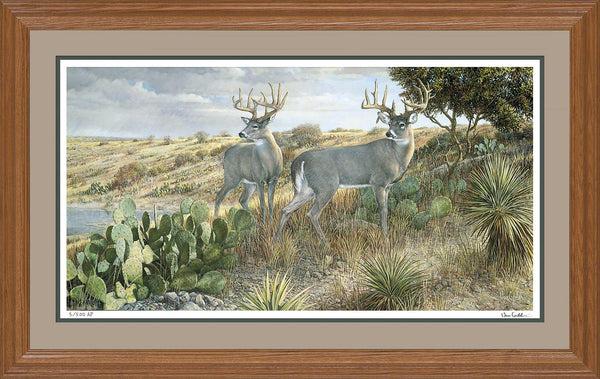 DEERディール f913077165_grande.jpg?v=1759439366