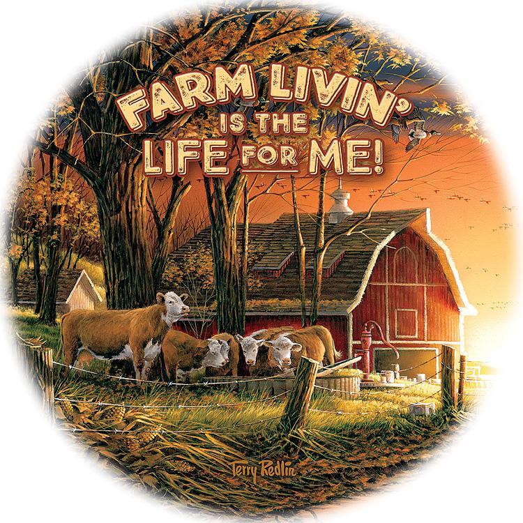 Farm Livin' - Coasters