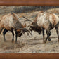 Anything for Love-Elk - 24" x 36" Framed Gallery Canvas