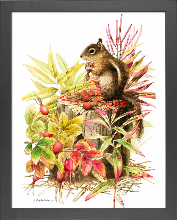 fd-colorados-mantled-squirrel14x11-ap-black-F058185074B.jpg