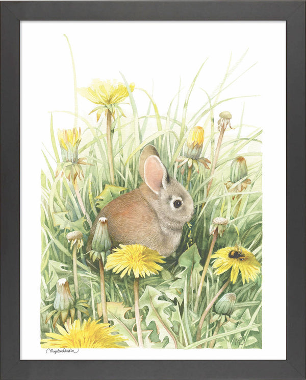 fd-dandelion-delight14x11-ap-blackbastin-F058222074B.jpg