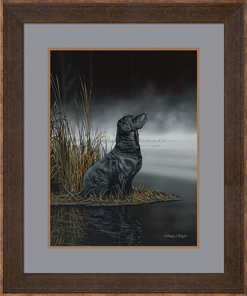 fd-daybreak-scout-blk-labpadgett-F624198056_25759608-189d-41d9-a4f1-7f9b83919f00.jpg