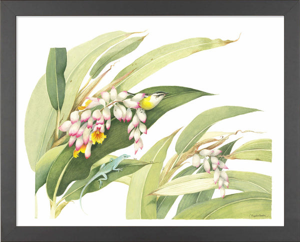 fd-flowering-ginger-plant14x11-ap-blackbas-F058225026B.jpg