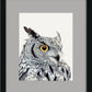 Great Horned Owl - Paper Print