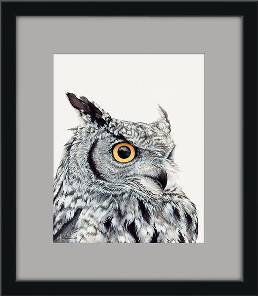 Great Horned Owl - Paper Print