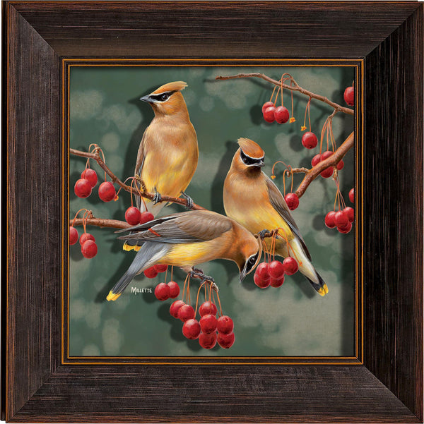fd-ils-blk-crabapple-bandits-rightmillette-F593083639B_134d4b44-de3c-413b-9023-653d23b5a52f.jpg