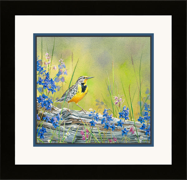 fd-lark-and-larkspur-14x15bourdet-F085474536.jpg