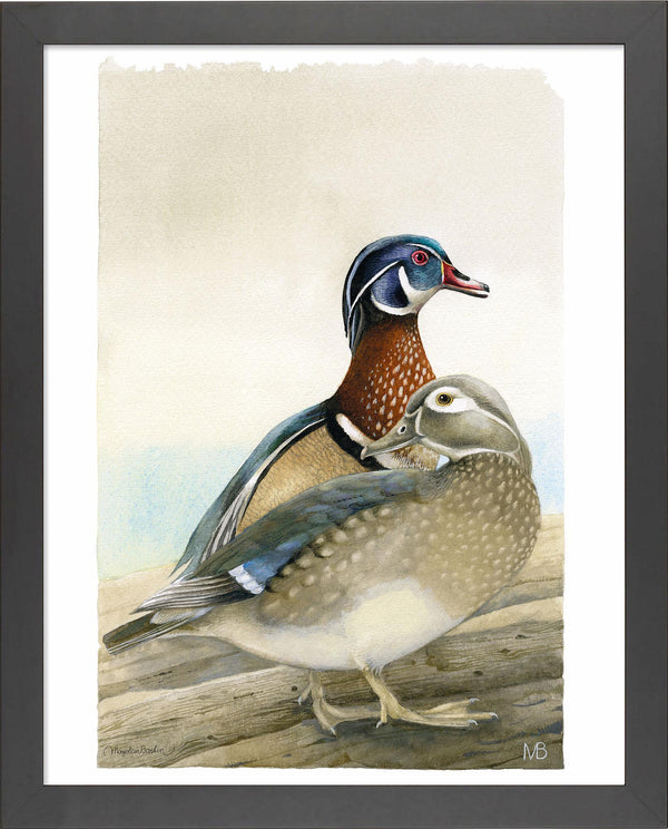fd-my-dear-wood-ducks14x11-ap-blackbastin-F058559505B.jpg