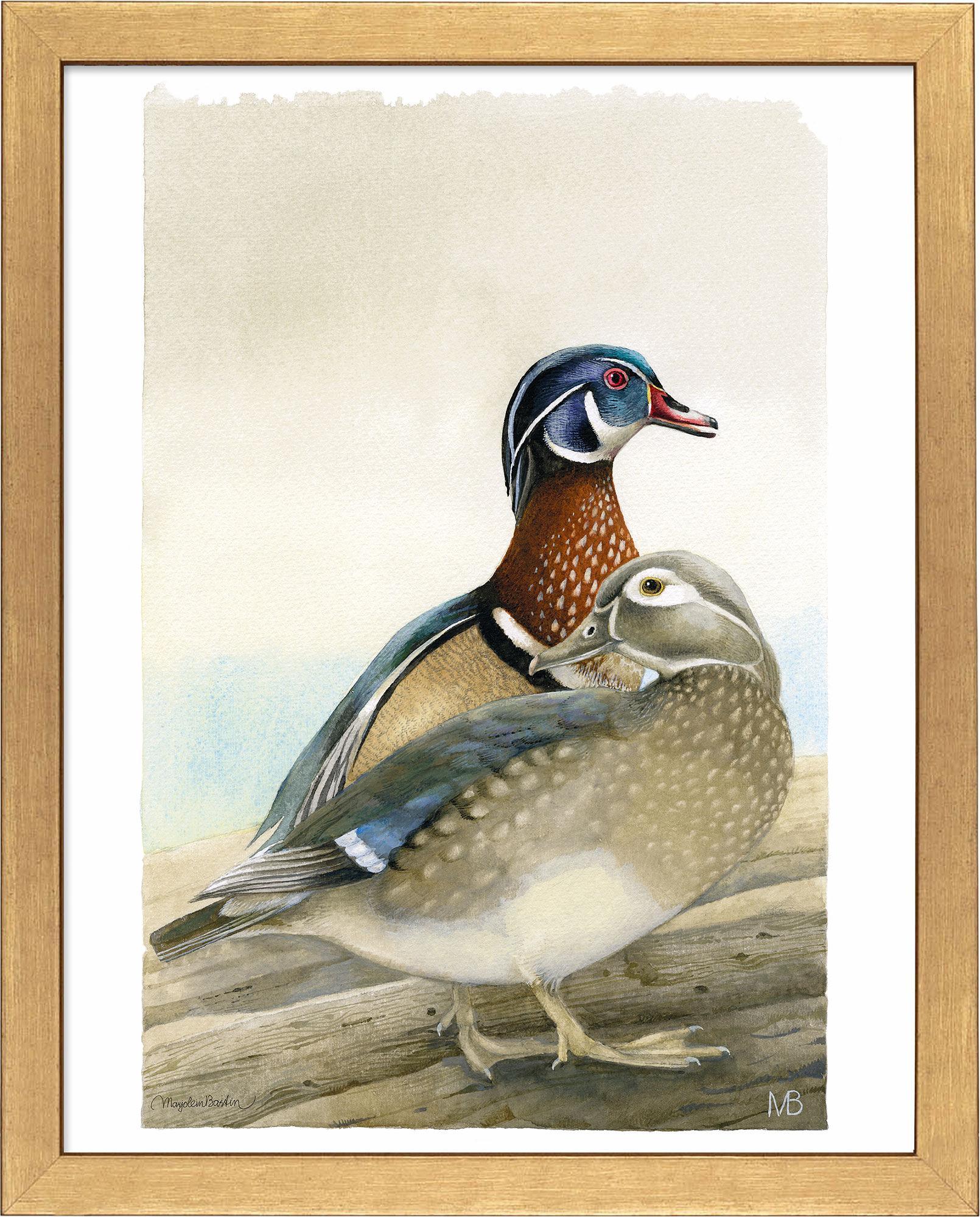 fd-my-dear-wood-ducks14x11-ap-goldbastin-F058559505G.jpg