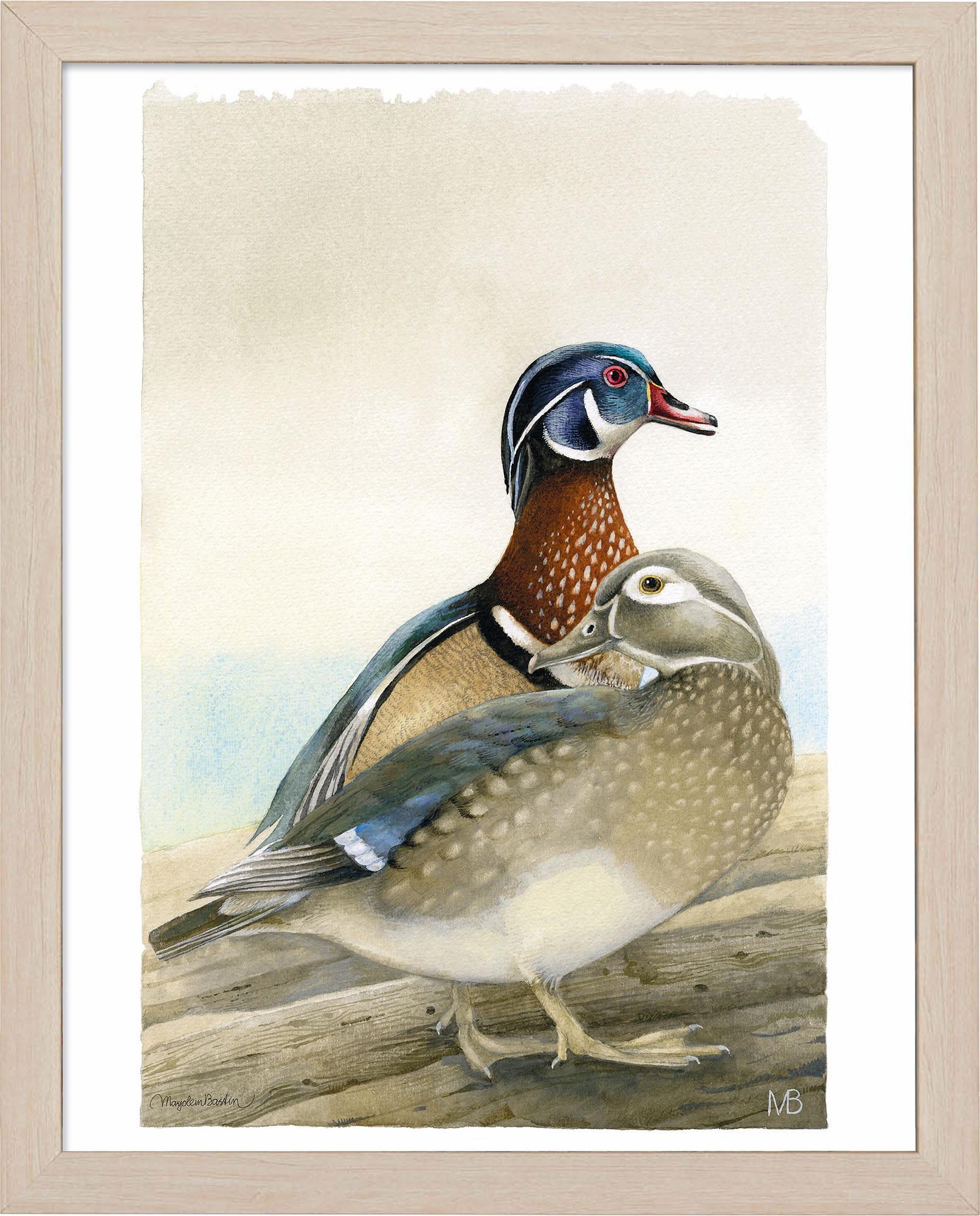 fd-my-dear-wood-ducks14x11-ap-naturalbasti-F058559505N.jpg