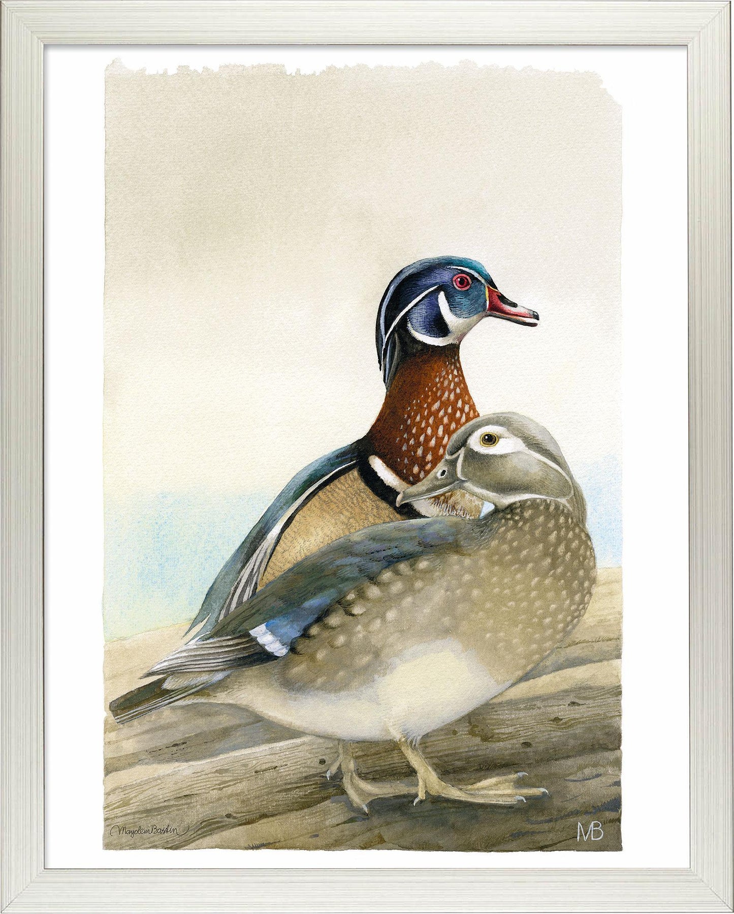 fd-my-dear-wood-ducks14x11-ap-silverbastin-F058559505S.jpg