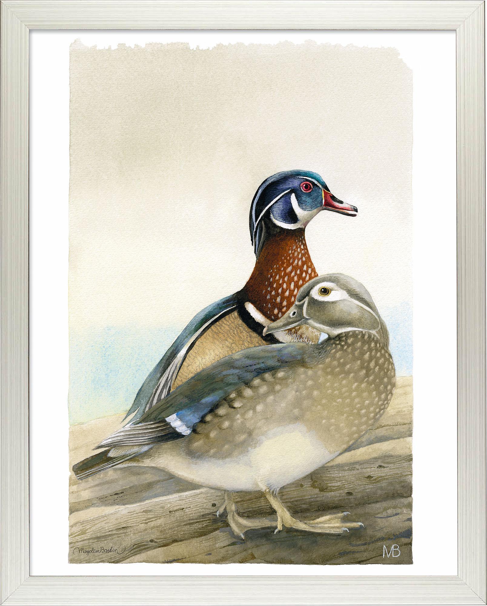 fd-my-dear-wood-ducks14x11-ap-silverbastin-F058559505S.jpg