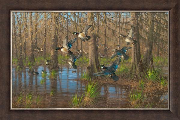 Party Time—Wood Ducks - Limited Edition Canvas