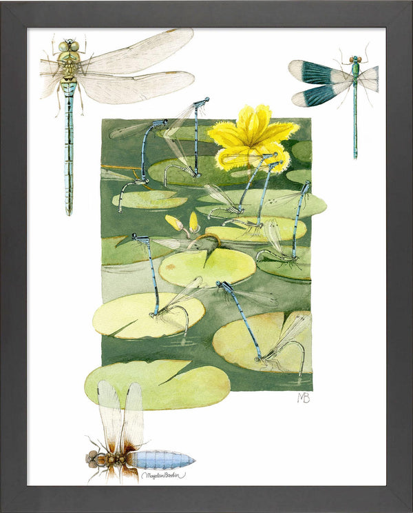 fd-rush-hour-above-pond14x11-ap-blackbasti-F058668576B.jpg