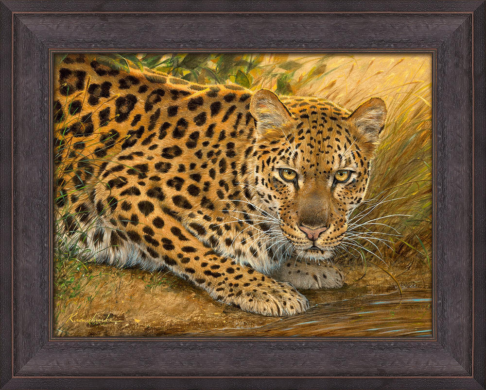 fd-sunrise-at-the-water-leopardcanvkromsch-F476729073.jpg