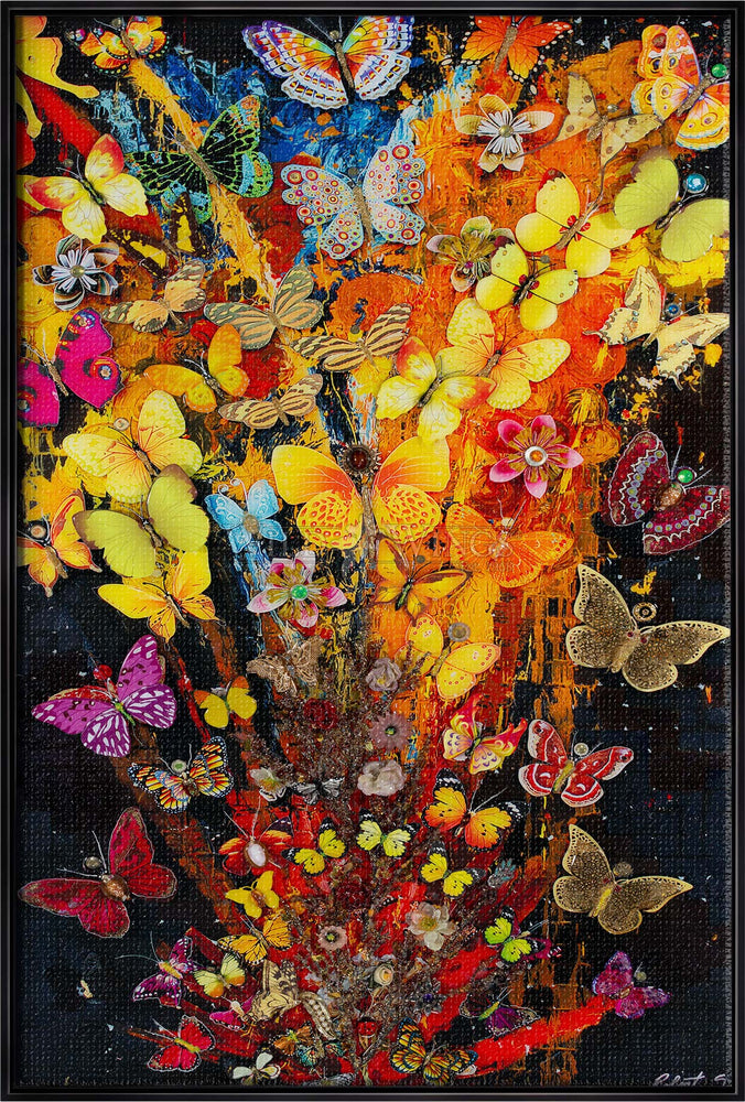 Feu D'Artifice Papillon - Limited Edition Canvas