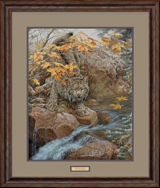 first-fall-lynx-framed-limited-edition-print-lee-kromschroeder-F476210073.jpg