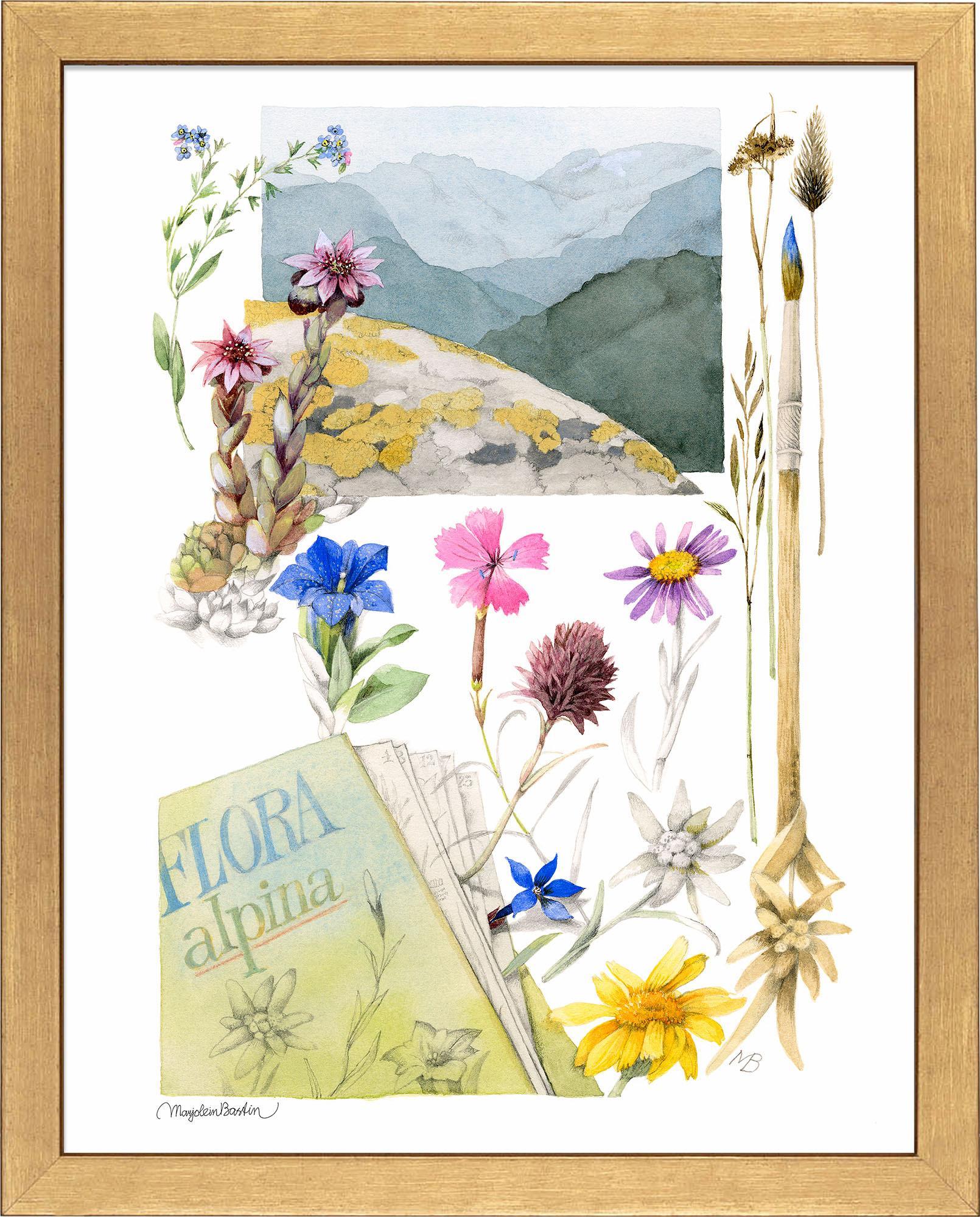 Floraバネルジー Flora Alpina - Art Prints Art Prints from Wild Wings
