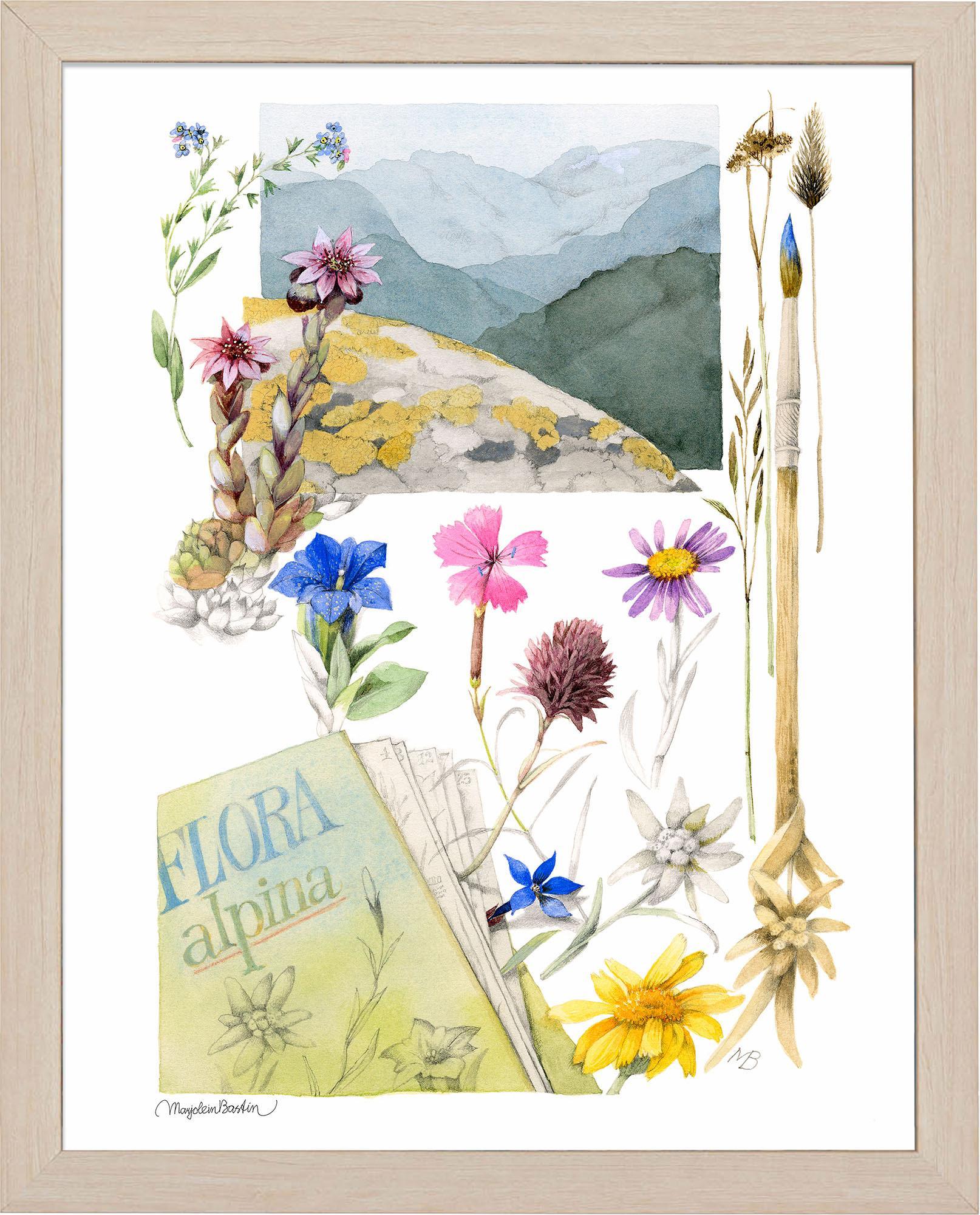 flora-alpina-framed-print-F058224890N.jpg