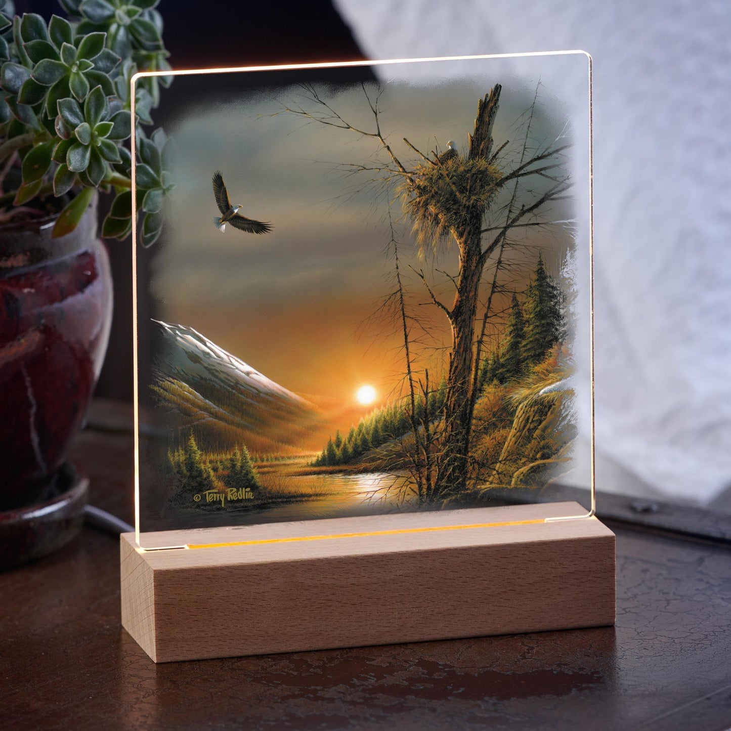 Flying Free—Bald Eagle - Acrylic Night Light