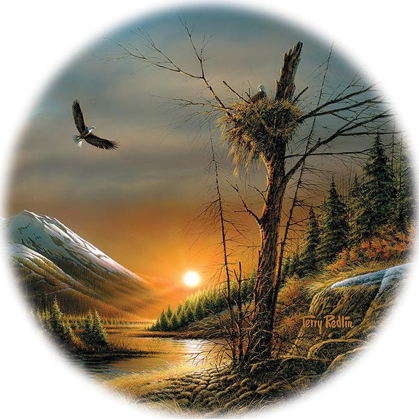 Flying Free—Eagle - Coasters