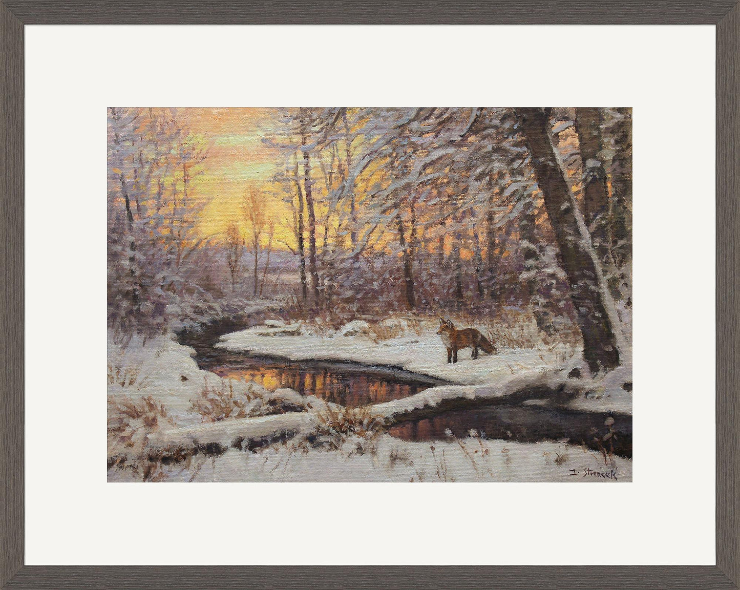 Fox at Evening—Bridger Creek - Limited Edition Paper