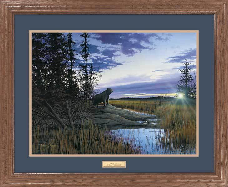 framed-black-bear-art-print-the-search-by-anthony-padgett-EPR6246775d_51eb3c77-ce49-4dcb-8a26-1bdd6961884a.jpg