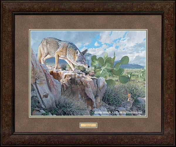 framed-coyote-rabbit-art-print