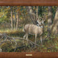 Shadowland - Deer - 30" x 42" Framed Gallery Canvas