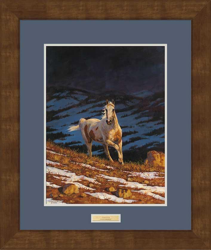 framed-horse-art-print-stallion-by-chris-cummings-F195022081d.jpg
