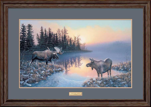 Cold Start - Moose - Limited Edition Paper Limited Edition Paper