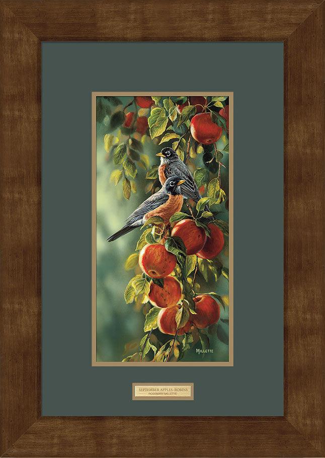 Shop September Apples—Robins From Wild Wings